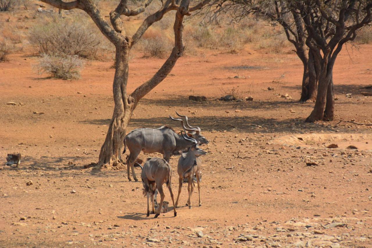 Gabus Game Ranch Vila Otavi Exterior foto
