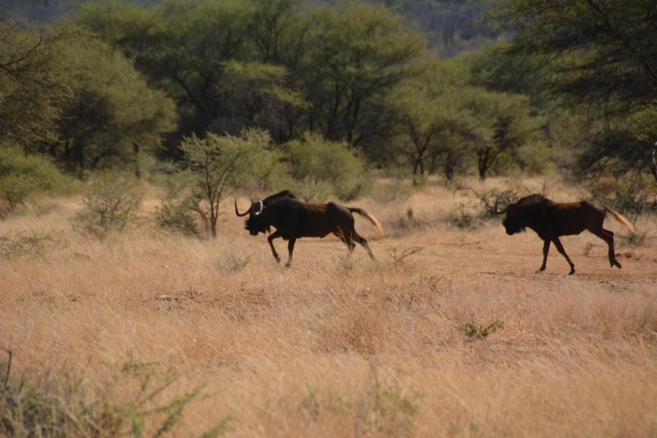Gabus Game Ranch Vila Otavi Exterior foto