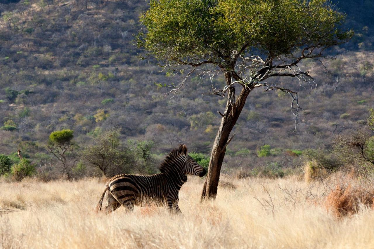 Gabus Game Ranch Vila Otavi Exterior foto