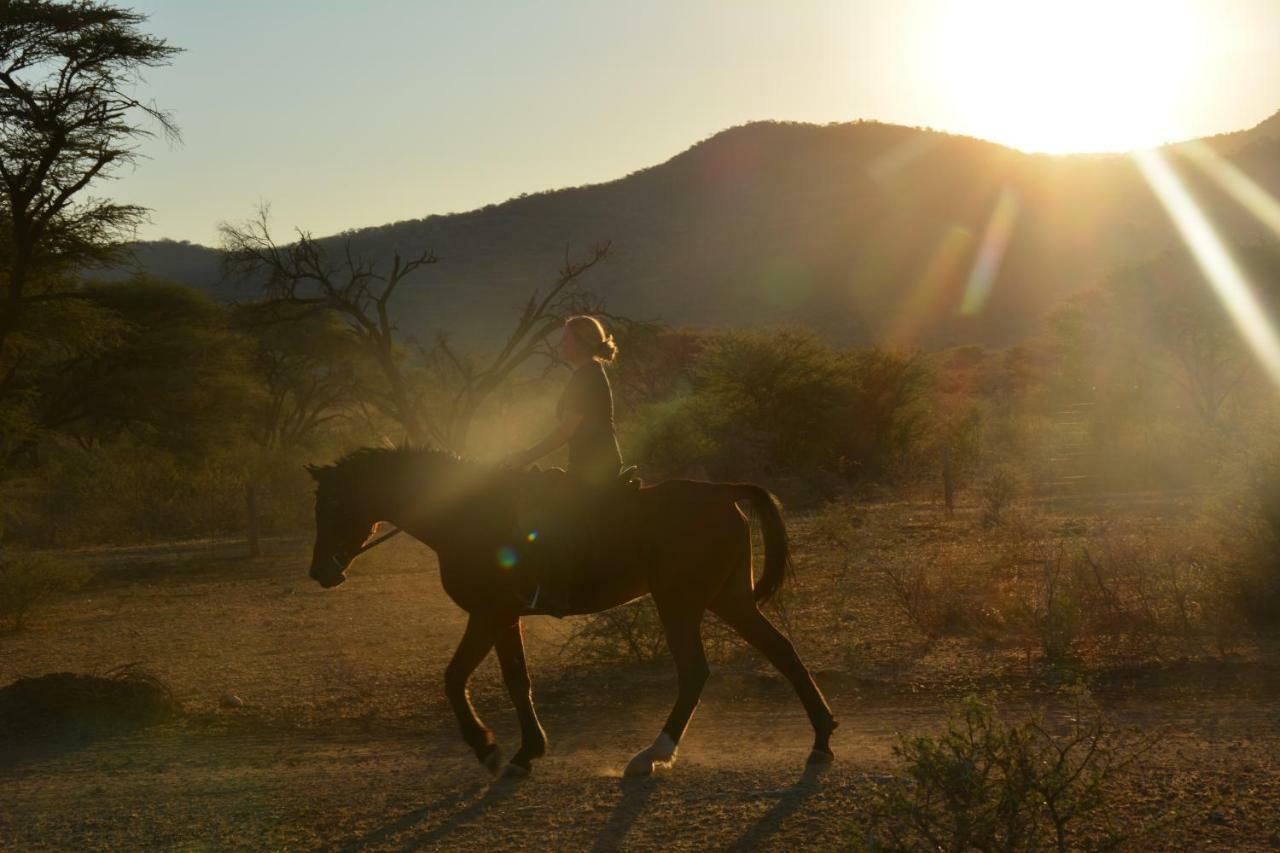 Gabus Game Ranch Vila Otavi Exterior foto